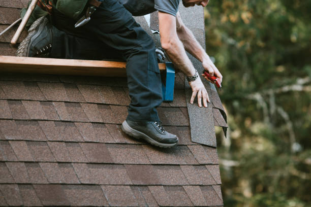 Best Roof Gutter Cleaning  in Vincent, CA